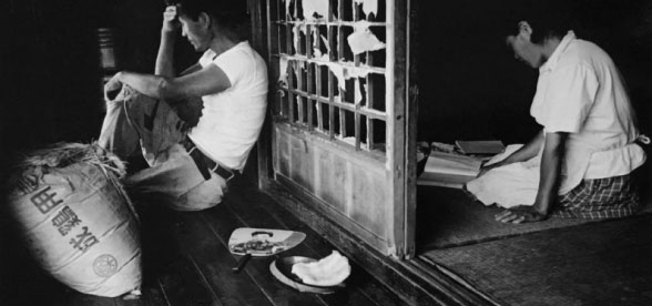 Cá nhiễm độc và chết hàng loạt đã khiến cho các ngư dân không thể lao động.